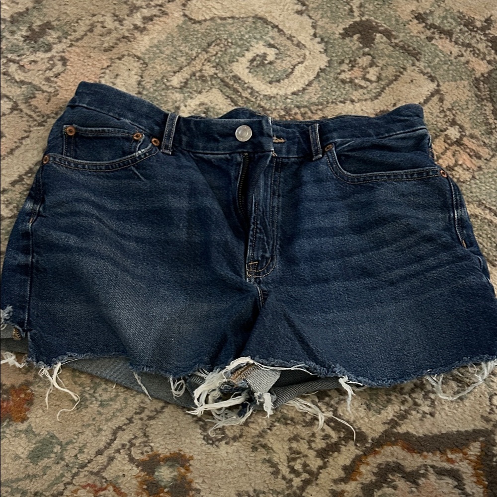 American Eagle Curvy Relaxed Short